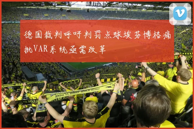 德国裁判呼吁判罚点球埃芬博格痛批VAR系统亟需改革